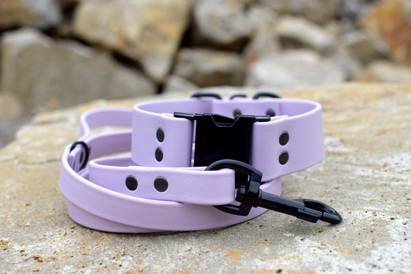 PREMADE COLLECTION - Pastel Purple & Black Biothane Dog Leash