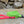 Load image into Gallery viewer, PREMADE COLLECTION - Lime &amp; Hot Pink Biothane Dog Leash
