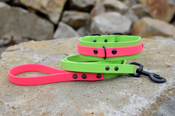 PREMADE COLLECTION - Lime & Hot Pink Biothane Dog Leash