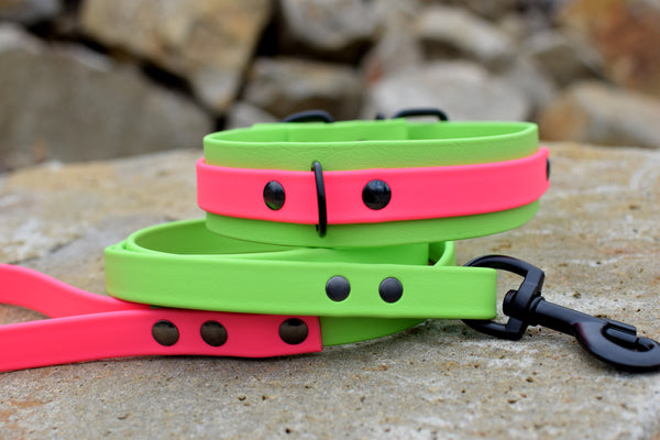 PREMADE COLLECTION - Lime & Hot Pink Biothane Dog Collar