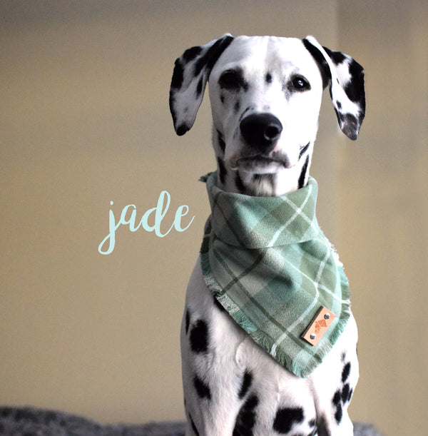 JADE Fringed Flannel Dog Bandana - Snap/Tie On Cotton Scarf