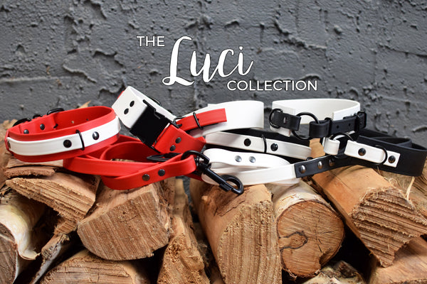 LUCI COLLECTION - White & Black Biothane Dog Leash