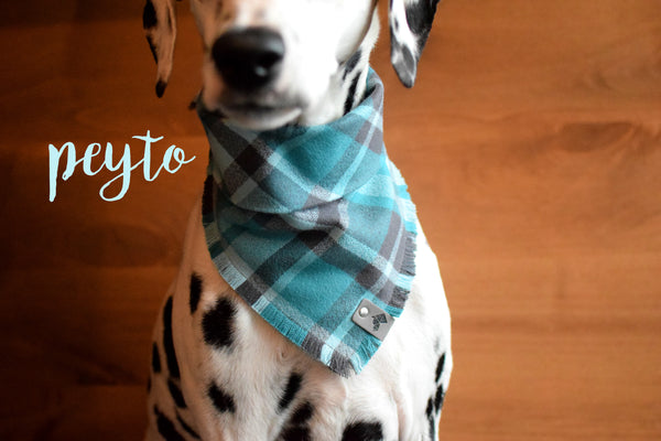 PEYTO Fringed Flannel Dog Bandana - Snap/Tie On Cotton Scarf