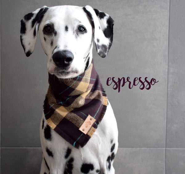 ESPRESSO Fringed Flannel Dog Bandana - Snap/Tie On Cotton Scarf
