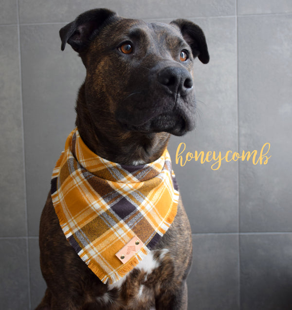 HONEYCOMB Fringed Flannel Dog Bandana - Snap/Tie On Cotton Scarf