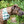 Load image into Gallery viewer, Dog Bandana - Kaleidoscope Cotton Dog Scarf
